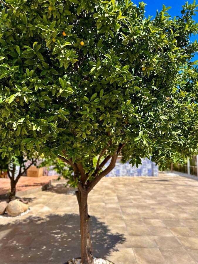 Holiday home Libelle Andalusian Hideaway C